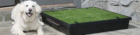 5 Best Artificial Grass Dog Potty | Bathroom Pad for Patio or Balcony