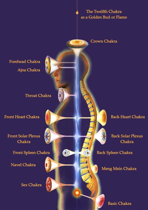 Chakras Decoding The Energetic Anatomy