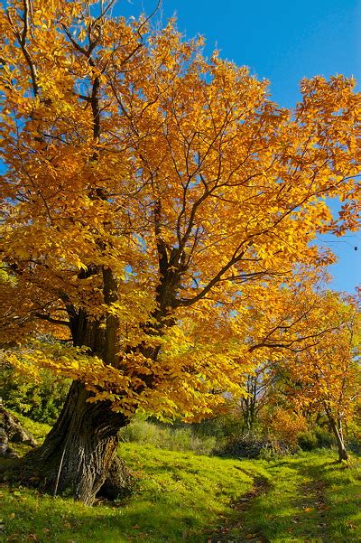 French Landscapes Nature And Landscape Photography From France