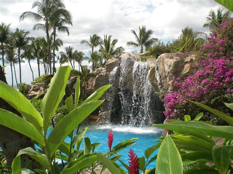 Grand Wailea Pool Area ~ Maui Hawaii | Dream vacations, Beautiful beaches, Travel dreams