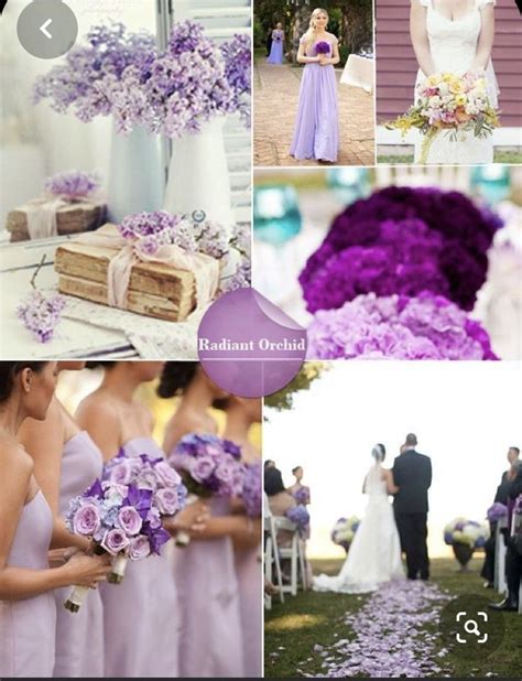 Pin By Emenekova Aysulu On Свадебные цветовые схемы Lavender Wedding