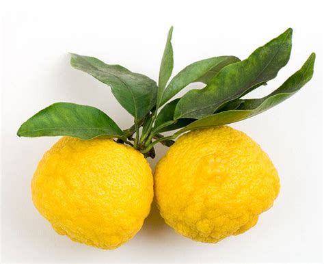 Yuzu Fruit facts and health benefits