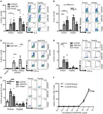 Frontiers Comparison Of Protein And Peptide Targeting For The