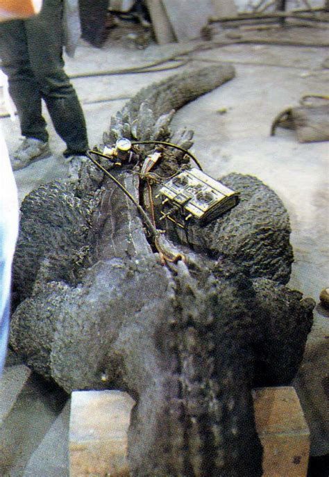 Sluts And Guts On Twitter Prepping The Godzilla Suit From Godzilla