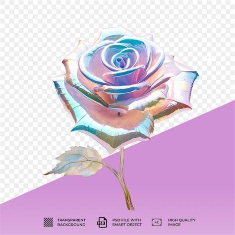 Premium Psd Psd Pink Rose Isolated