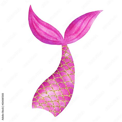 Pink Watercolor Mermaid Tail Stock Illustration Adobe Stock