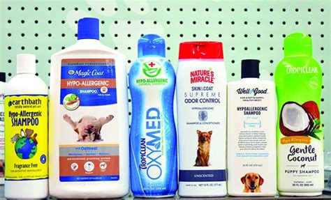 What is Hypoallergenic Dog Shampoo? - Whole Dog Journal