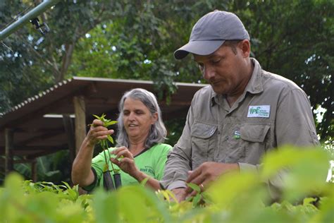 Projeto Do Ip Biof Lica Ambipar Recebe Pr Mio Environmental