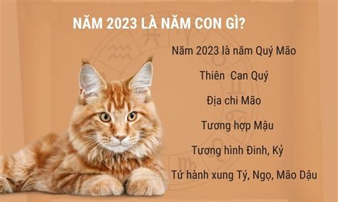 Top 8 năm 2023 là năm con gì hot nhất đừng bỏ qua Laho Top Trang