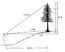 Field Technique Tips For Measuring Tree Height Forest Measurements