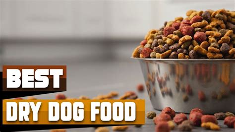 Dry Dog Food Incredible Dry Dog Foods In 2024 Youtube