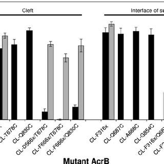 Activities Of Acrb Single And Double Cys Mutants Single And