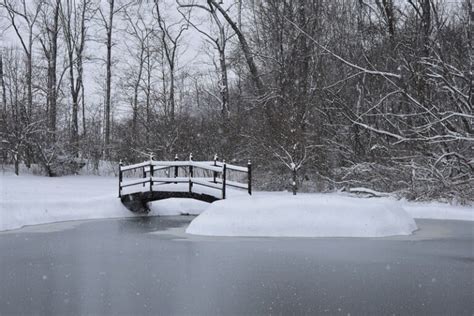 25 Fun Things To Do in Winter in Milwaukee - Paulina on the road