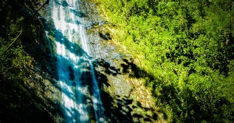 See Manoa Falls with Travel to Paradise, your Hawaii Travel Agent