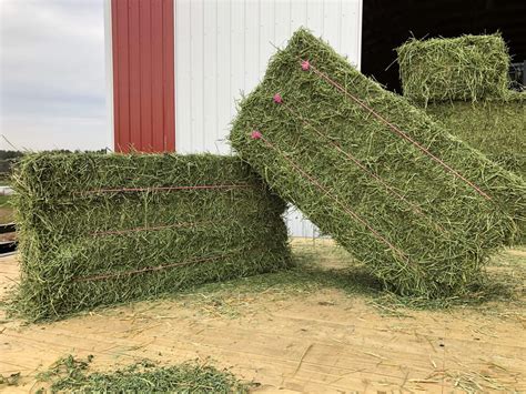 3 String Western Alfalfa Pleasant View Farms Inc