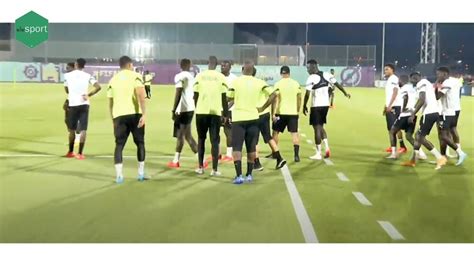 LIVE Inside Qatar Suivez la Séance d entrainement des lions