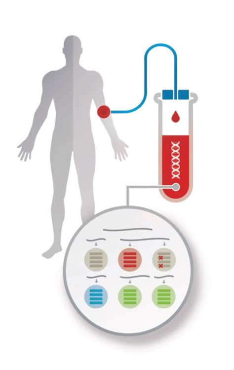 Biopsia Líquida Bioarray