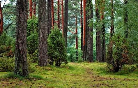 La Agencia Europea de Medio Ambiente cumple 25 años experiencia para