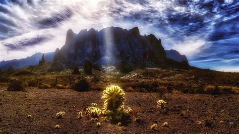 Lost Dutchman Br