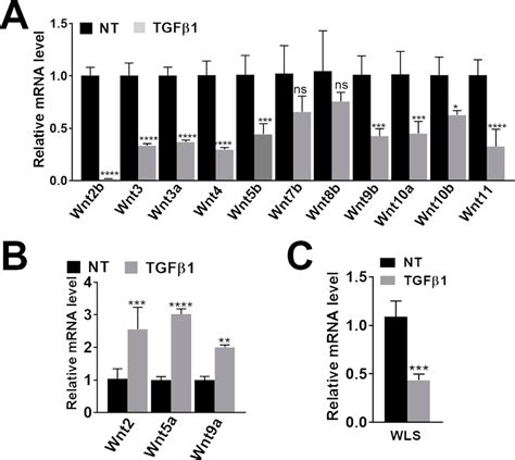 Effect Of Profibrogenic Factor On Wnt Gene Expression In Human Hepatic