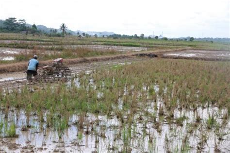 Pansus Rtrw Soroti Perbedaan Luas Lahan Pertanian Kaltim Nusantara