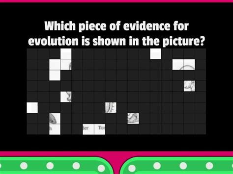 evidence hidden image image quiz