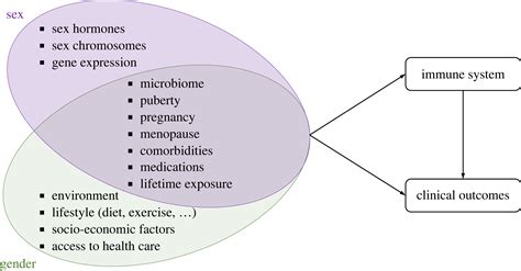 Sex And Gender In Infection And Immunity Addressing The Bottlenecks