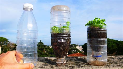 Water Bottle Recycling Turn It Into A Planter Large Water Bottle