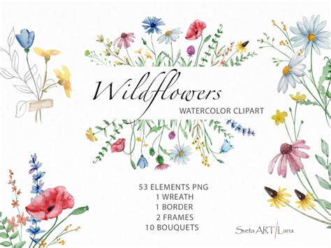 Watercolor Wildflowers Clipart Meadow Clipart Wedding Clipart Wild