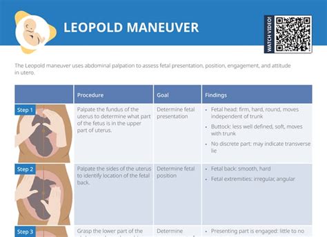 Leopold Maneuvers Free Cheat Sheet Lecturio Nursing