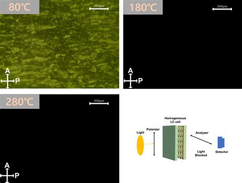 Pom Image And Pom Schematic Diagram Of The Lc Cell Assembled With The