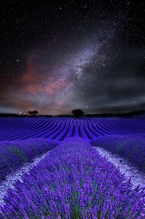 Celestial meaning by Jorge Maia | Wonderful places, Celestial, Wonders ...