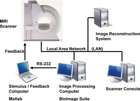 Schematic Of The Real Time Fmri System The Image Reconstruction System