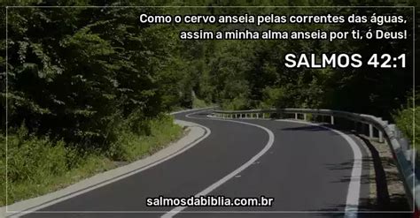 Salmo 42 1 Como o cervo anseia pelas correntes das Salmos da Bíblia