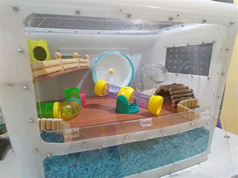 Hamster Bin Cages By Philippine Hamster Keepers