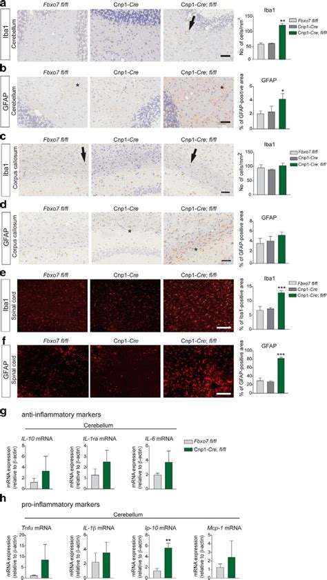 Myelinating Glia Specific Deletion Of Fbxo7 In Mice Triggers Axonal