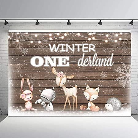 Amazon Avezano Winter Onederland Birthday Backdrop For Girls 1st