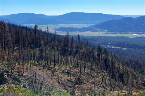 Sierra Buttes Trail Stewardship Wins 50000 Friesen Foundation Grant For The Indian Valley Loop