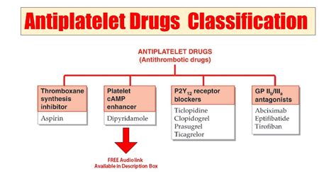 45 Antiplatelet Drugs Classification Of Antiplatelet Drugs Audio