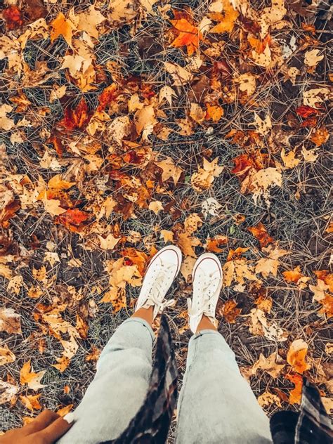 Vsco Camidahms4 Aesthetic Wallpapers Fall Wallpaper Fall Pictures