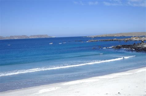 Playa Punta De Choros Ahorra Hasta El Con Nuestra Gu A De