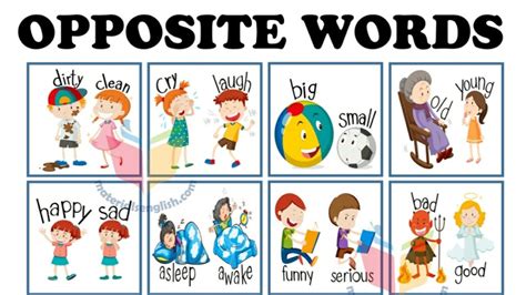 Opposite Words For Kids With Pictureविपरीत शब्दlearn Opposite Words