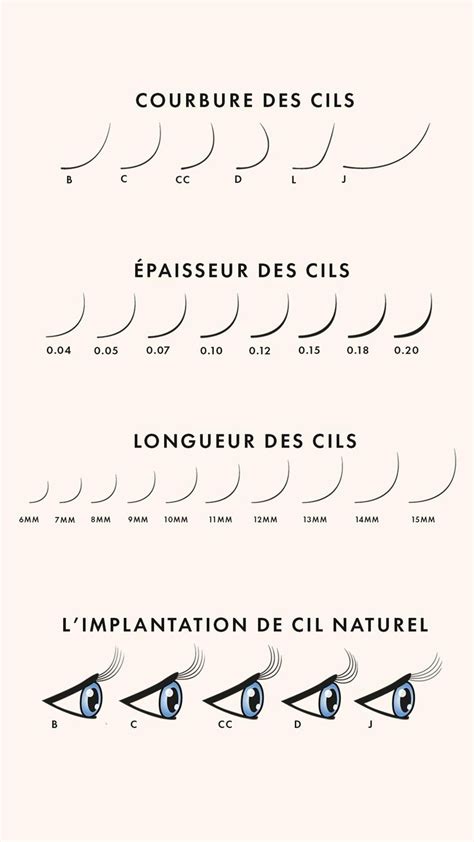 London lash Différentes courbures de cil FORMATION Fiches de Cours