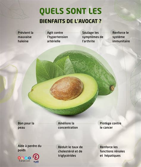 INFOGRAPHIE Les Bienfaits De L Avocat