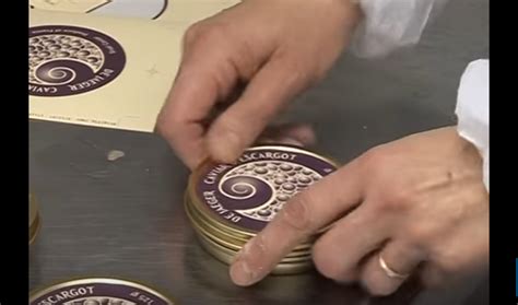 How to produce snail caviar | Escargot