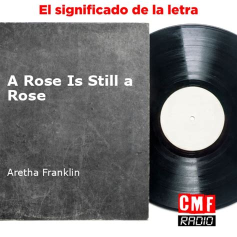 La Historia Y El Significado De La Canción A Rose Is Still A Rose Aretha Franklin