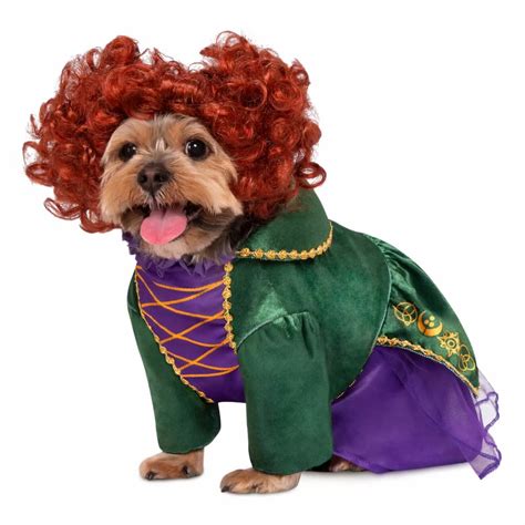 7 Best Funny Dog Costumes Of 2024 Vetstreet Vetstreet