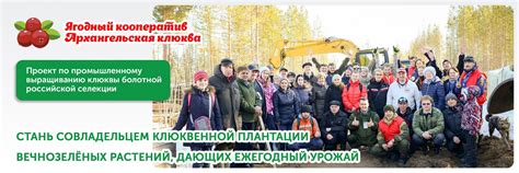 Ягодный кооператив «Архангельская клюква» | Каждый житель нашей страны ...