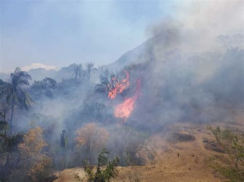 El Tolima Pierde Has De Vegetaci N Por Incendio Forestal De Honda