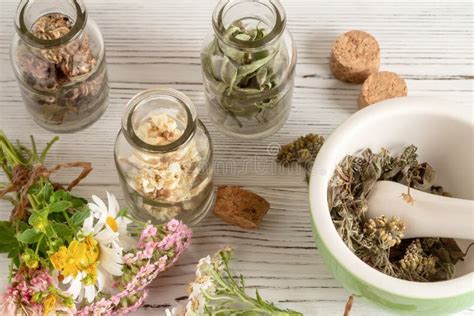 Secagem E Colheita De Plantas Medicinais Homeopatia E Conceito De